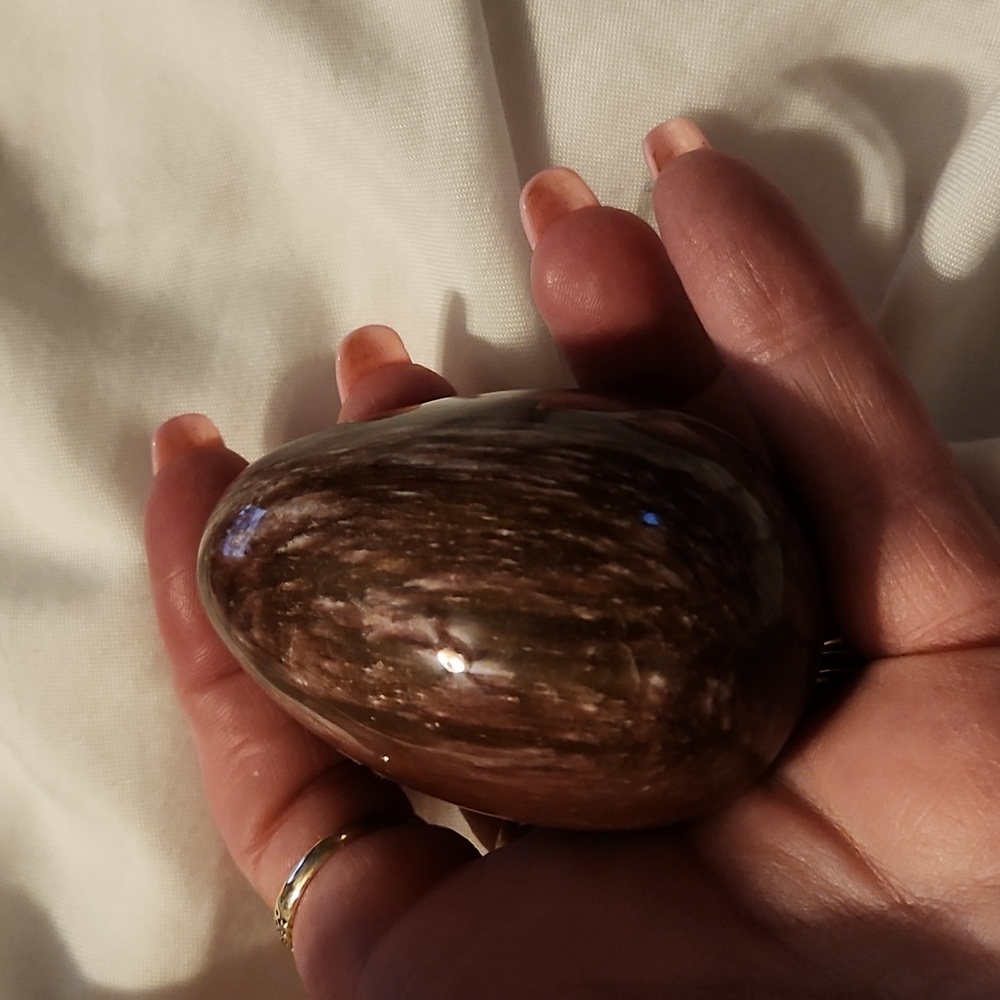 Petrified wood egg - Picture 2 of 3